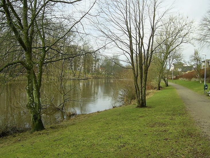 The Rönne River I