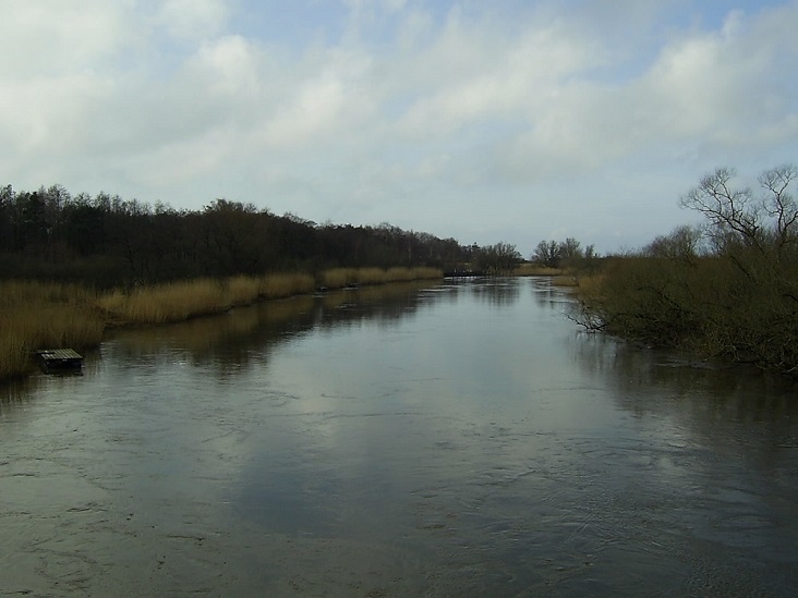 The Rönne River II