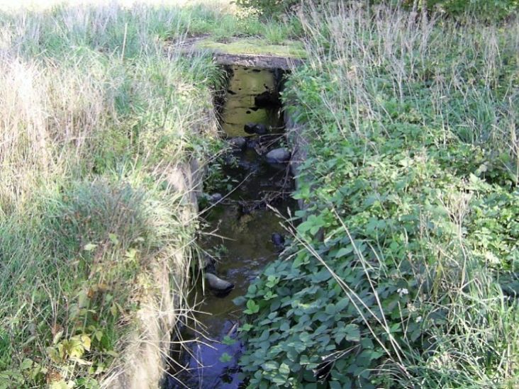 The stream of the KVS park