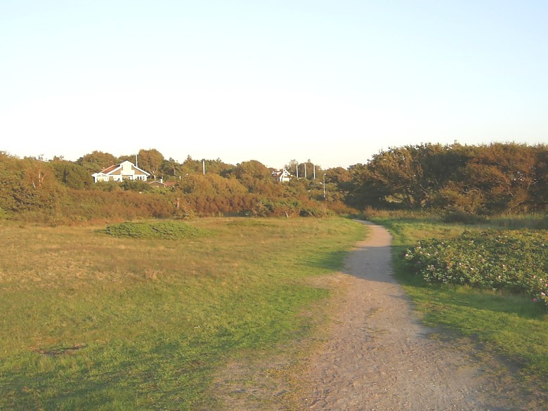 Heden i Vejbystrand