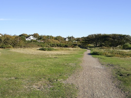 Heden i Vejbystrand