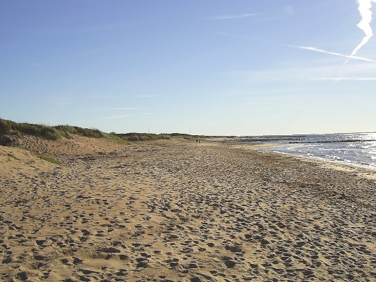 Stranden mot Vejby Udde