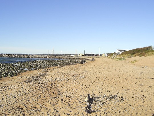 Stranden mot Vejbystrands hamn