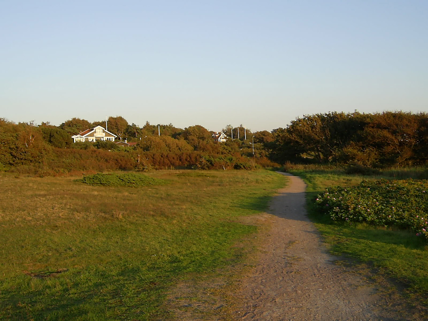 Heden i Vejbystrand